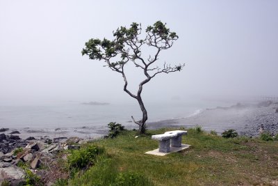 IMG_0578.JPG