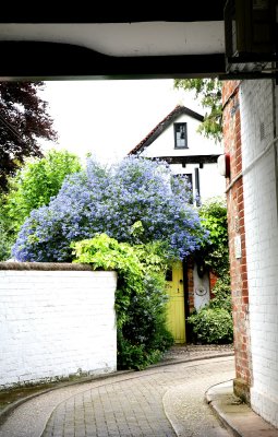 Henley-on-Thames Alleyway.jpg
