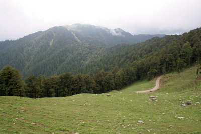 meadows.JPG