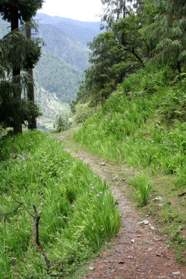 path.JPG