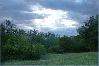IMGP5606.jpg-800.jpg