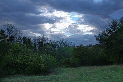 IMGP5606.jpg-800c.jpg