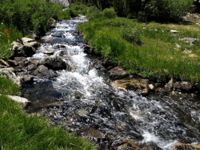 Rock Creek 2008.jpg