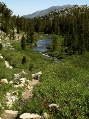 Trail by Rock Creek 2008.jpg