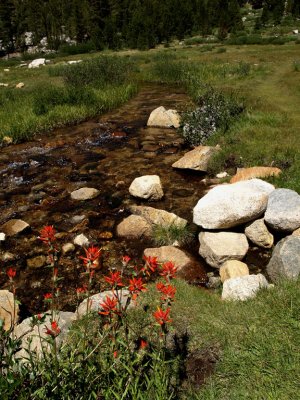 Unnamed Creek.jpg