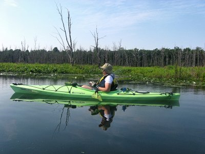 Kayaking ReflectionJuly 26, 2008