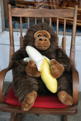 Gorilla