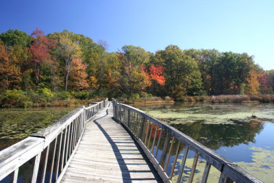 October 9, 2006Crooked Foot Bridge