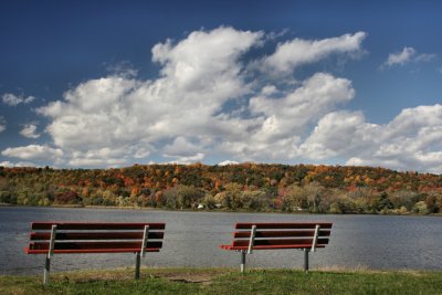 Colonie Town Park Benches