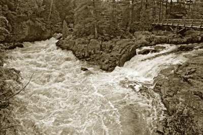 g5/56/635856/3/100132183.k4DOsZHl.jpg