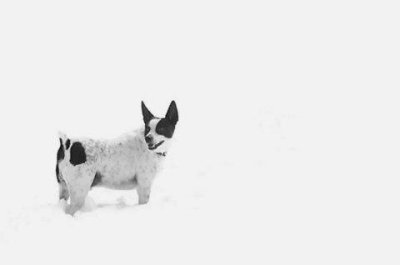 the little man in the snow