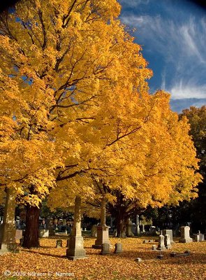Historic Springfield, Mass., Cemetery