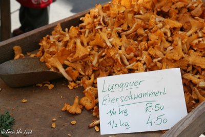 Mushrooms, Salzburg