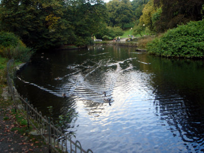 03.10.06 004a.jpg