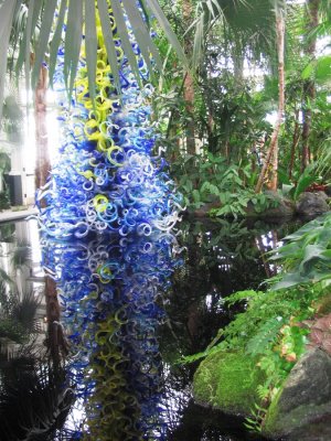 Pond Conservatory Reflection in the water