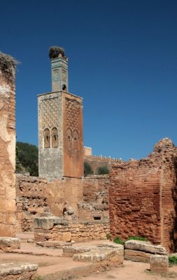 Rabat ncropole de Chellah