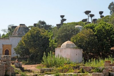 Rabat ncropole de Chellah