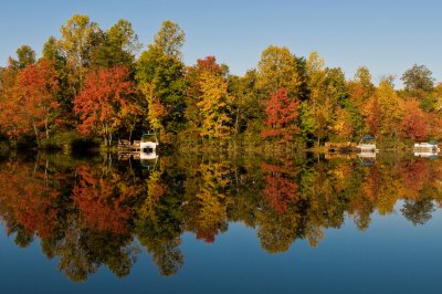Fall in Virginia 2008