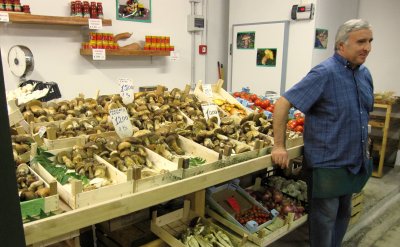 Mercato Centrale Mushrooms