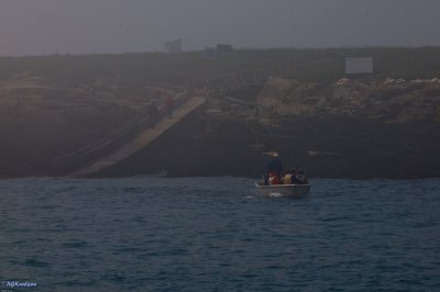 Machias Seal Island - Access point