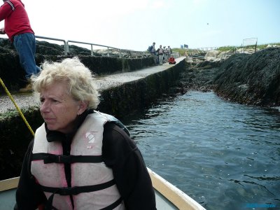 Machias Seal Island - Access point