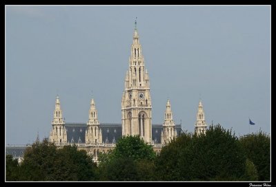 P1020017.jpg