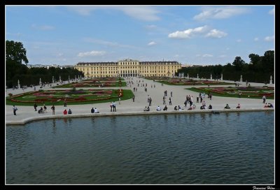 P1020106.jpg