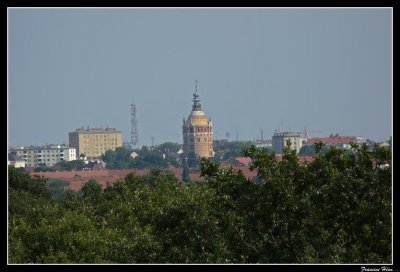 P1020135.jpg