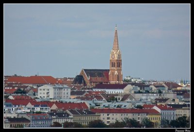 P1020139.jpg