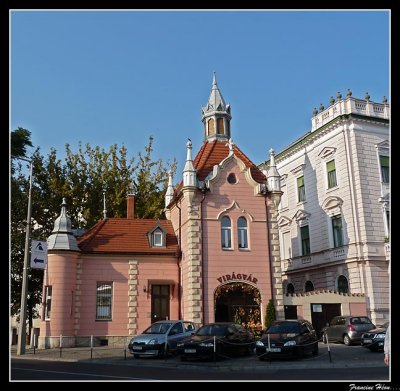 P1030236.jpg