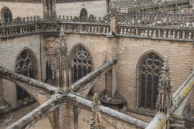 Roof of Cathedral from Giralda