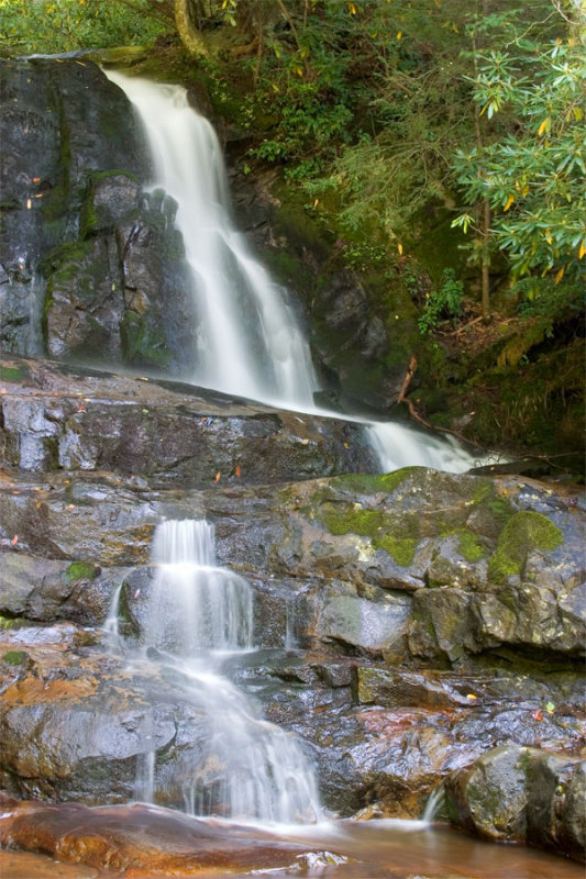 Laurel Falls