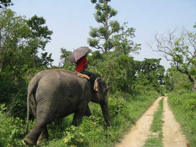 Chitwan_013.JPG