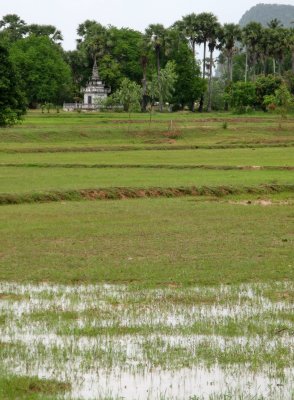 Rice paddies and temples