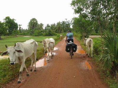 Heavy traffic in rural Cambodia