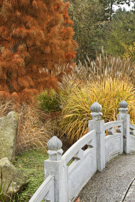 Brug in de Japanse tuin