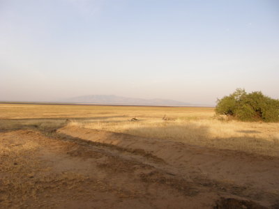 Lake Manyara