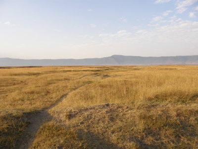 Ngorongoro crater