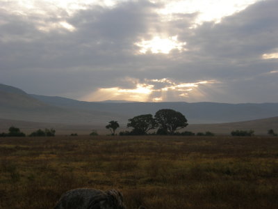 Early morning light