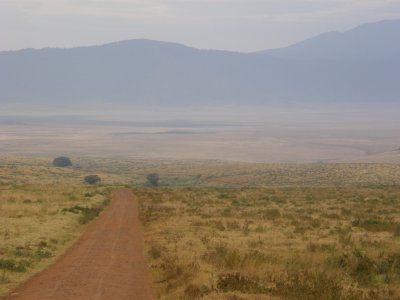 The road into the crater