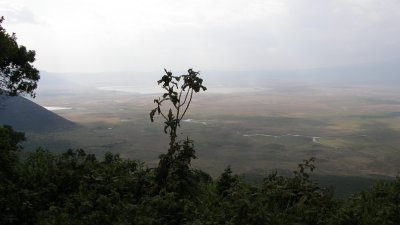 Ngorongoro crater
