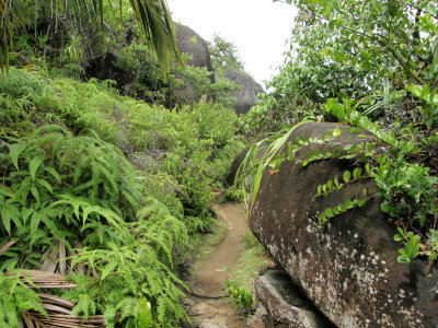 The Danzil to Anse Major walk