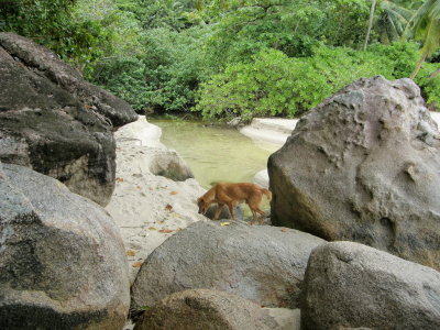 Anse Major