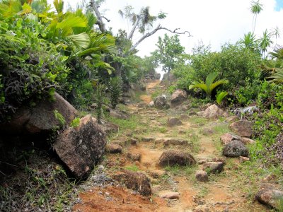 The trail to the south coast