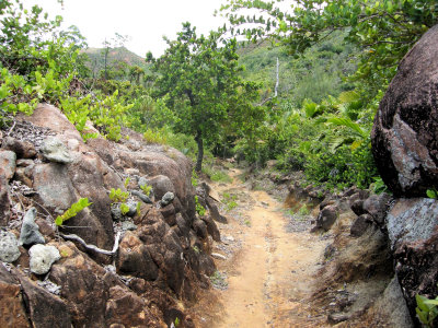 The trail to the south coast