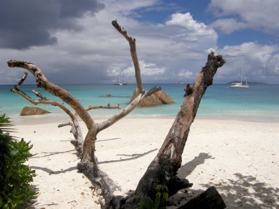 Seychelles 2009