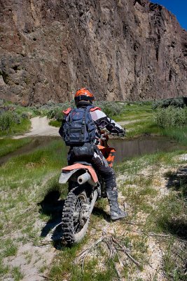 Dave headed for water.jpg