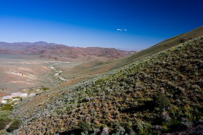 Wild flower overlook.jpg
