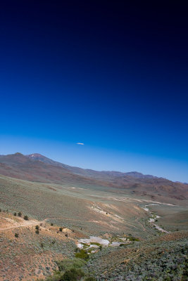 Wild flower overlook 2.jpg