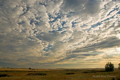 Morning Sky